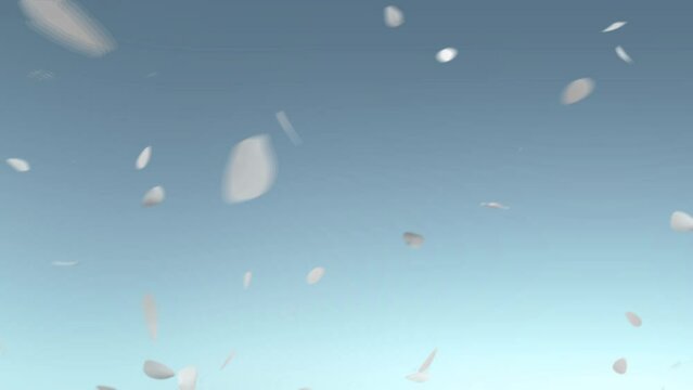 Flying petals in the sky