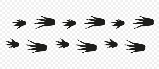 Crocodile paws. Footpath trail of animals. Paw foot trail print of crocodile on white background. Vector animal steps in black color. © Loya.art