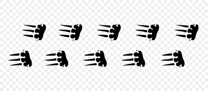 Echidna paws. Footpath trail of animals. Paw foot trail print of echidna on white background. Vector animal steps in black color.