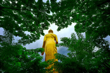 Standing Buddha statue shooting through out the tree in the rainy day.