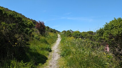 Half Moon Bay Hike Trail