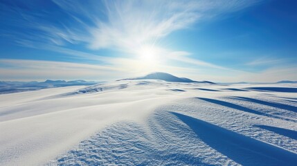 A sunny day in a snowy landscape