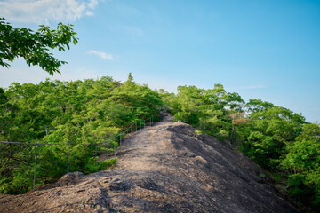Fototapeta premium 宝塚にある竜王山の登山道にある馬の背