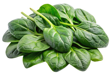 Obraz premium spinach isolated on a transparent background