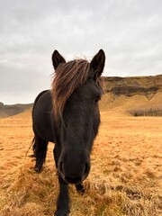 Natura © Oleksandra