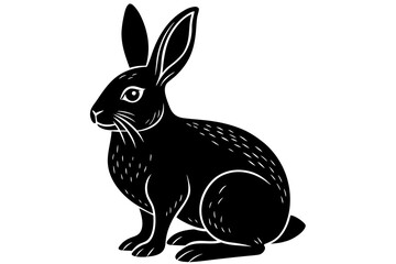 rabbit vector illustration