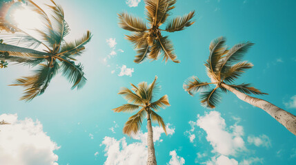 Palmiers en contre-plongée: ciel bleu éclatant