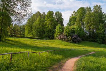 Slavyanka River Valley in the landscape part of the Pavlovsk Palace and Park Complex on a sunny summer day, Pavlovsk, Saint Petersburg, Russia