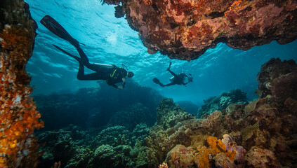 Two Scuba Divers Diving on Tropical Coral Reef with Blue Background and Reef Fish.