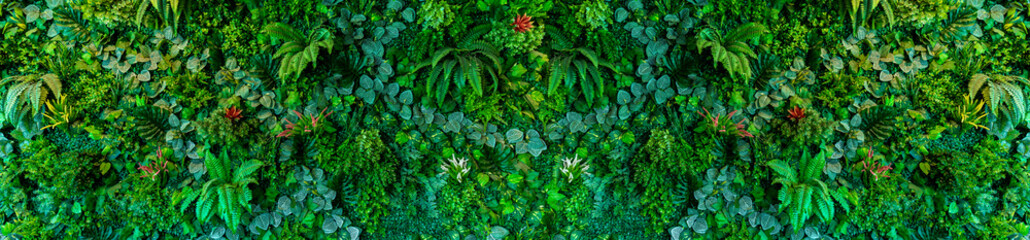Herb wall, plant wall, natural green wallpaper and background. nature wall. Nature background of green forest