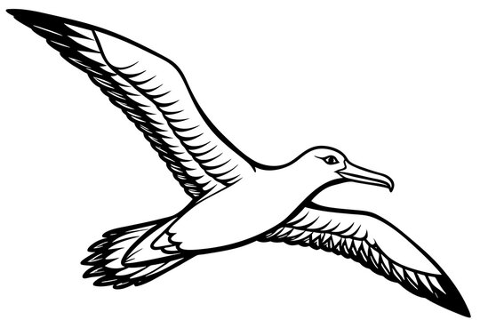 black and white bird flying clip art preview