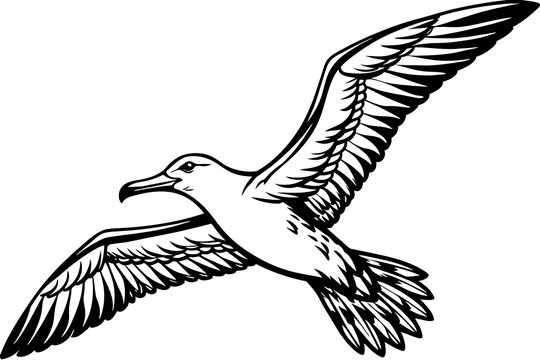 recommend clip art:  flying albatross whole vector art illustration