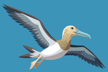  flying albatross whole vector art illustration