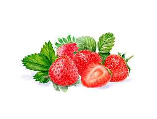 A bunch of fresh and juicy watercolor strawberries with leaves, isolated on a white background