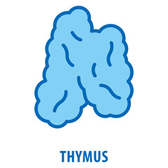 thymus Icon simple and easy to edit for your design elements