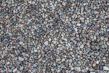 Smooth round pebbles texture background. Pebble sea beach close-up, dark wet pebble and gray dry pebble