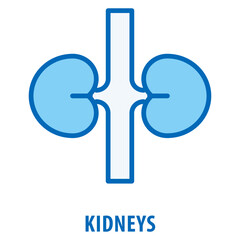 Kidneys Icon simple and easy to edit for your design elements