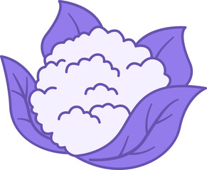 Colored Cauliflower Icon. Vector Icon of Natural and Organic Products. Vegetarian food. Vegetables Concept