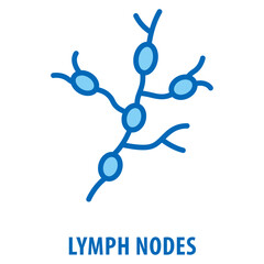 lymph nodes Icon simple and easy to edit for your design elements
