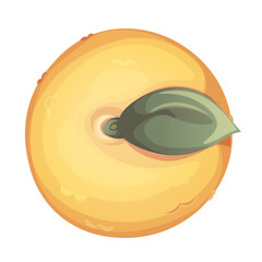 Lemon fruit on white background. Illustration for grocery shop, cafe, bar, party, food concept, recipe. Vector illustration for menu, poster, website, banner, flyer, cover, invitation