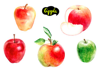 Explore a Diverse Selection of Apple Varieties Depicted in an Artistic Watercolor Style