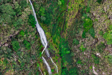 Waterfall on rocky bluff in the mountains between trees on Madeira island, Aerial footage