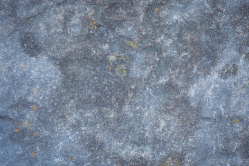 A fragment of a blue-gray stone with rosettes of lichen, natural rock background.