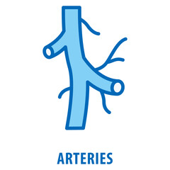 arteries Icon simple and easy to edit for your design elements