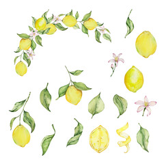 Watercolor lemon frame set with fruit, slice, leaves and flowers