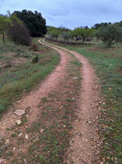 Dirt road in the Sierra del Segura, province of Albacete in Spain.