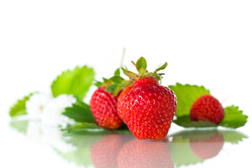 red ripe strawberry spring on a white background