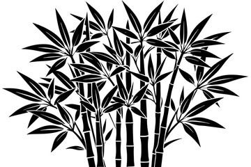 Black and white bamboo