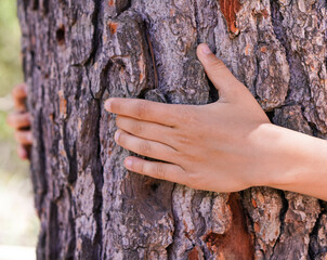 child's hands embracing the trunk of a big tree