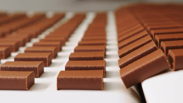 Chocolate bars aligned in rows on conveyor belt in industrial confectionery factory.