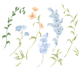 Fototapeta premium Watercolor abstract flower set of lilac and forget-me-not. Hand drawn wildflowers isolated on white background. Holiday Illustration for design, print, fabric or background.