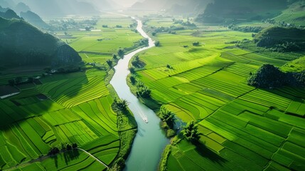 aerial landscape in phong nam valley an extreme scenery landscape at cao bang province vietnam with river nature green rice fields hyper realistic 