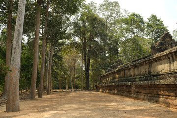 Angkor Wat temple ruins, Cambodia