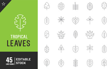  Tropical leaves editable line icon Set. black palm leaf Vector illustration. 