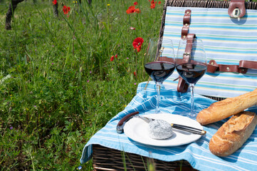 Obraz premium Picnic on old vineyard with red poppies flowers and green grass with glasses of red Cahors wine, cheese and baquette, summer in Cahors wine making region in France, weekend background