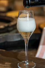 Tasting of grand cru sparkling brut white wine with bubbles champagne by old champagne caves in grand cru wine producer small village Cramant, Champagne, France