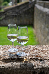 Glasses of white wine in old wine domain on Sauternes vineyards in Barsac village and old castle on background, Bordeaux, France