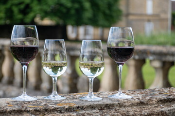 Glasses of white and red wine in old wine domain on Graves vineyards in Portets village and old castle on background, Bordeaux, France