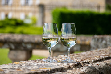 Glasses of white wine in old wine domain on Sauternes vineyards in Barsac village and old castle on background, Bordeaux, France
