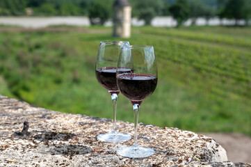 Glasses of french dry red wine in old wine domain on Graves vineyards in Portets village and old castle on background, Bordeaux, France
