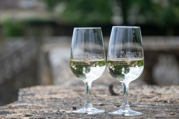 Glasses of white wine in old wine domain on Sauternes vineyards in Barsac village and old castle on background, Bordeaux, France