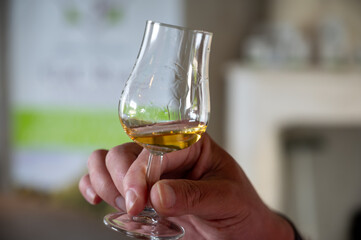 Enologist tastis and sniffs cognac spirit aged in old dark French oak barrels in cellar distillery house, Cognac white wine region, Charente, Segonzac, Grand Champagne, France