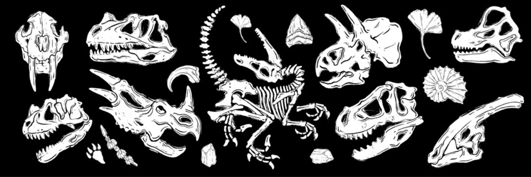 Dinosaur skeleton linocut print set, dino fossil tattoo skull, vector prehistoric archaeology icon. Jurassic reptile engraving sticker, triceratops silhouette, reptor head. Dinosaur skeleton woodcut