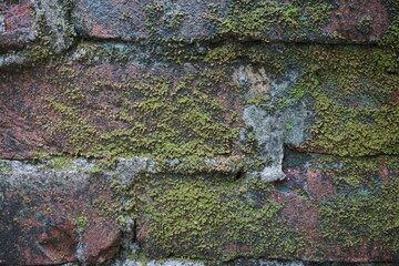 Abandoned mossy brick layered wall background, Grungy brick wall texture background, Weathered rusty brick backdrop