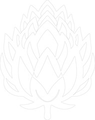 Obraz premium artichoke outline