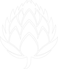 Fototapeta premium artichoke outline